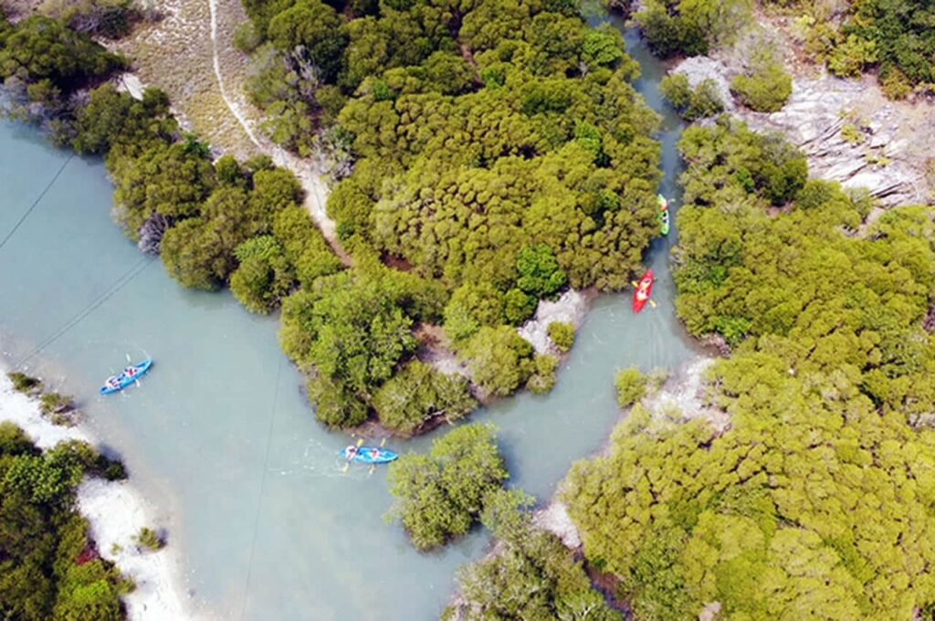 chèo thuyền Kayak Nha Trang